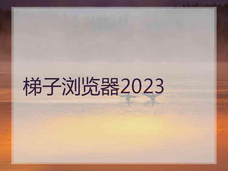 梯子浏览器2023