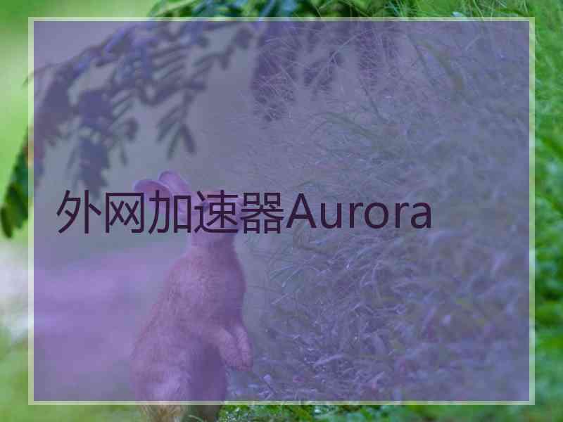 外网加速器Aurora