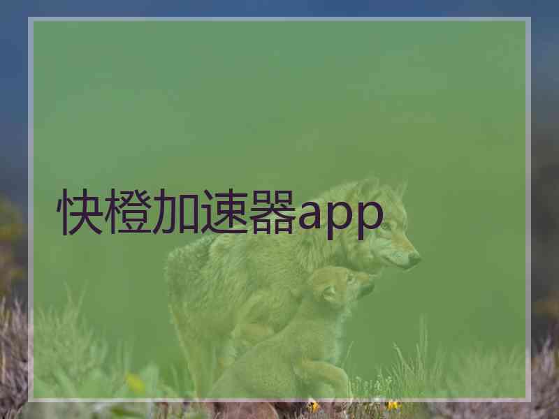 快橙加速器app