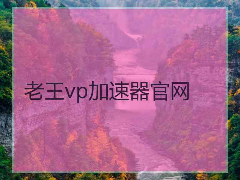 老王vp加速器官网