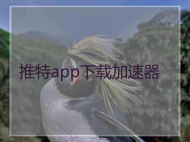 推特app下载加速器