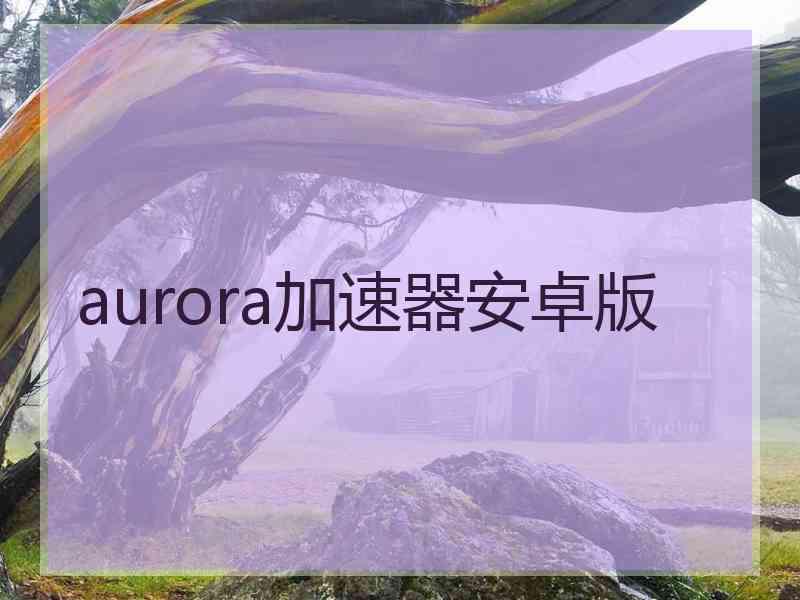 aurora加速器安卓版