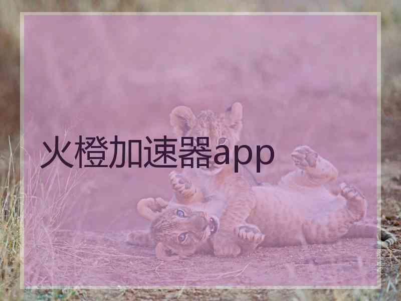 火橙加速器app