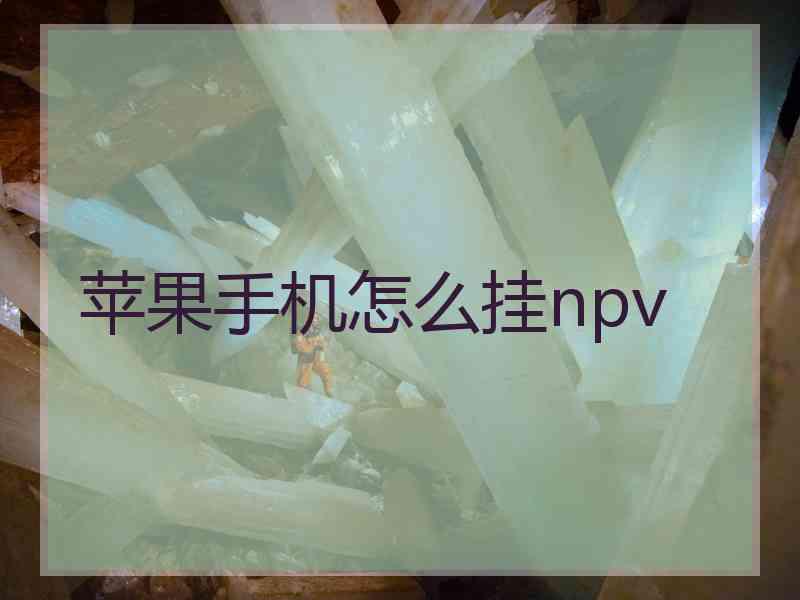 苹果手机怎么挂npv