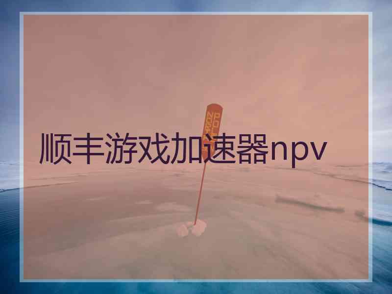 顺丰游戏加速器npv