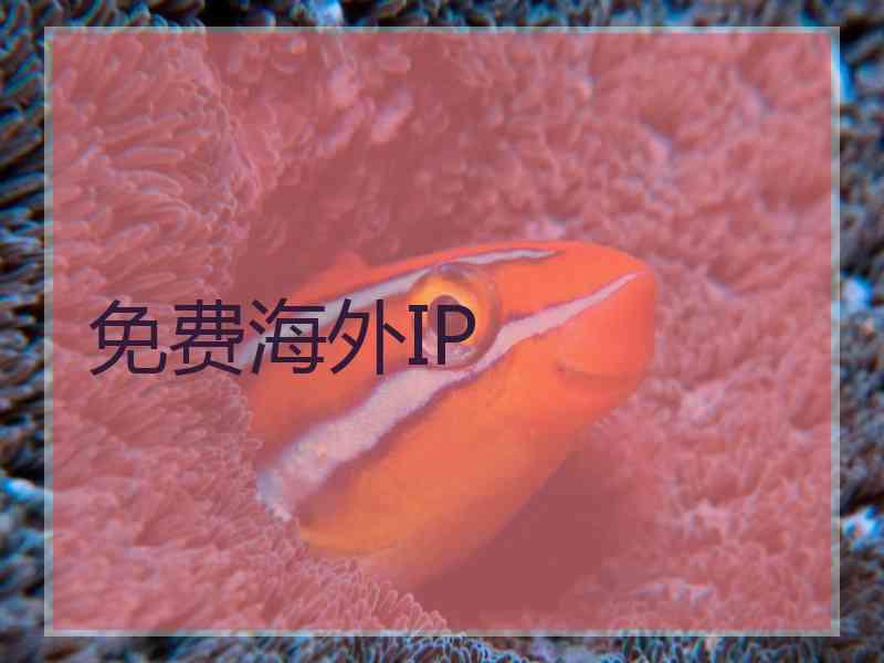 免费海外IP