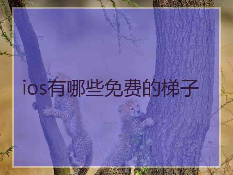 ios有哪些免费的梯子