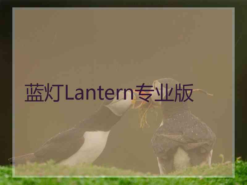 蓝灯Lantern专业版