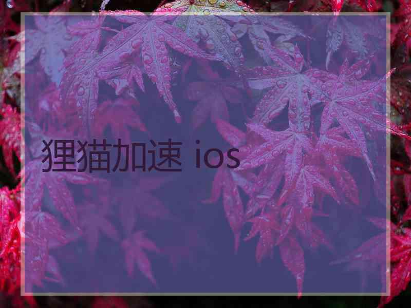 狸猫加速 ios