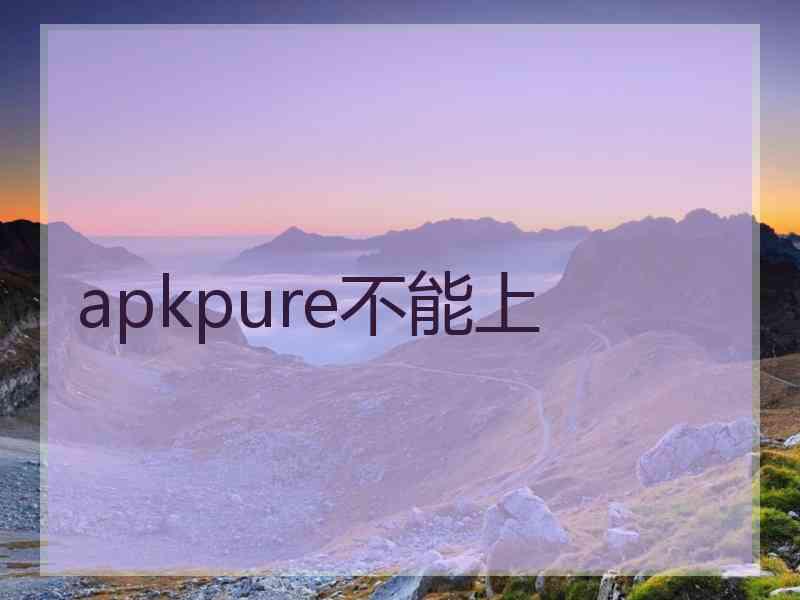 apkpure不能上