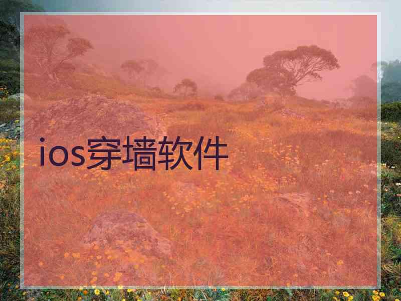 ios穿墙软件