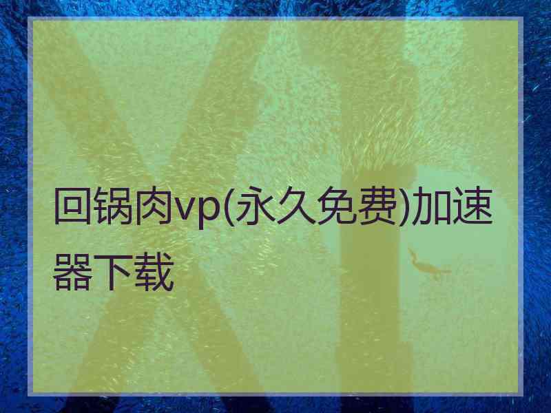 回锅肉vp(永久免费)加速器下载