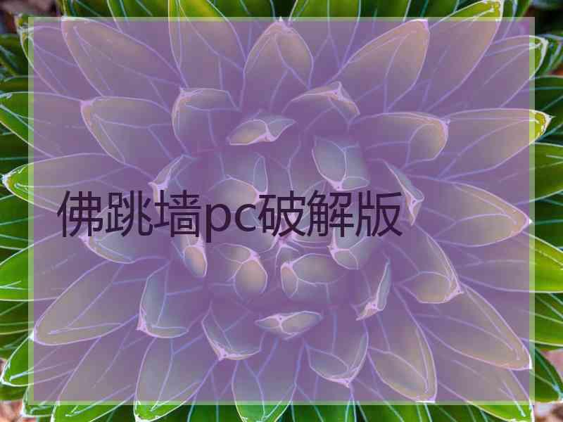 佛跳墙pc破解版