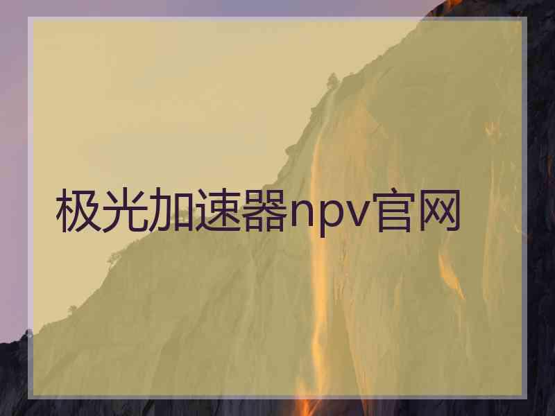 极光加速器npv官网