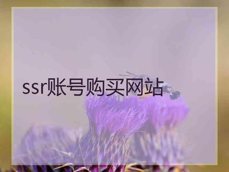 ssr账号购买网站