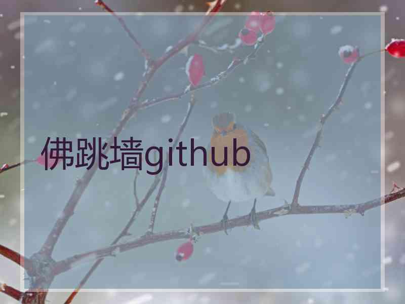 佛跳墙github