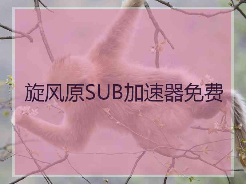 旋风原SUB加速器免费