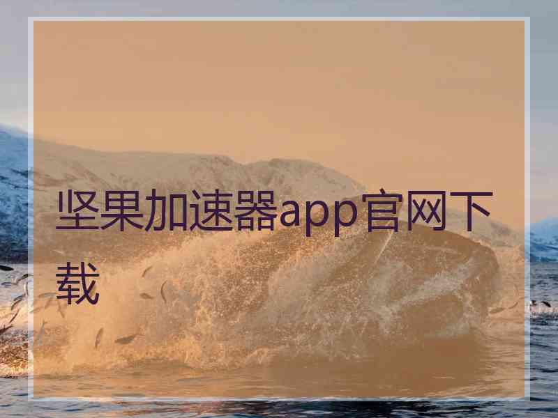 坚果加速器app官网下载