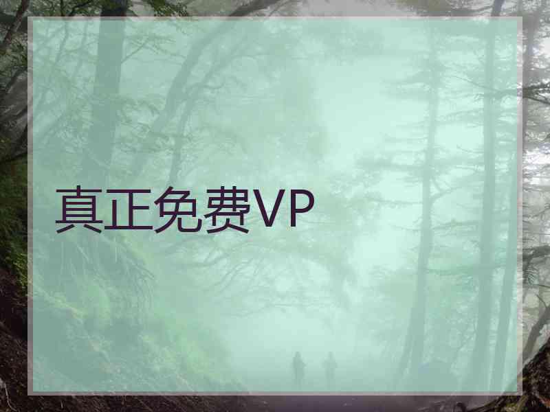 真正免费VP