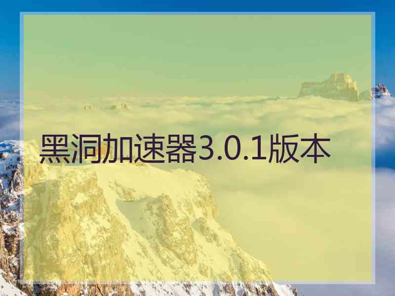 黑洞加速器3.0.1版本