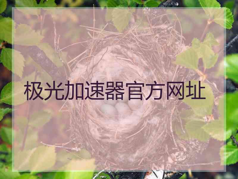 极光加速器官方网址