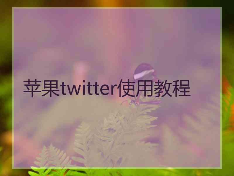 苹果twitter使用教程