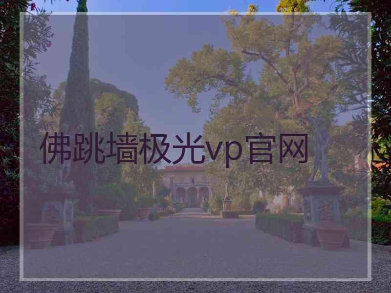 佛跳墙极光vp官网