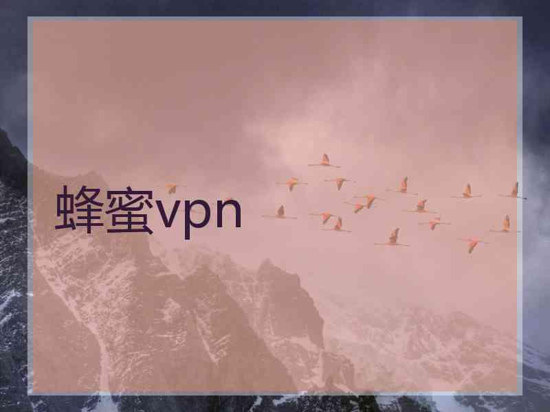 蜂蜜vpn