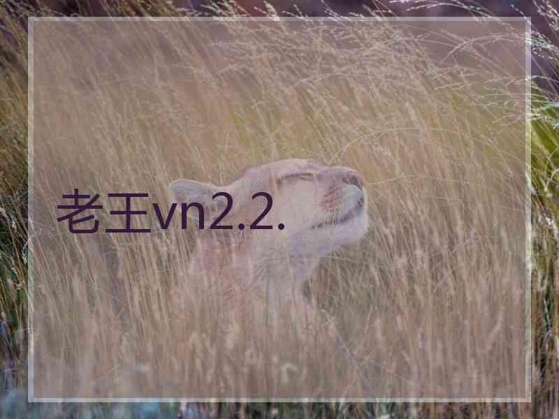 老王vn2.2.