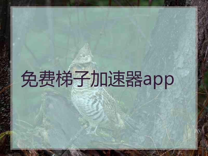 免费梯子加速器app