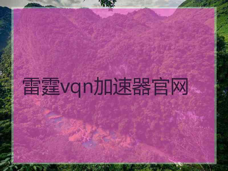 雷霆vqn加速器官网