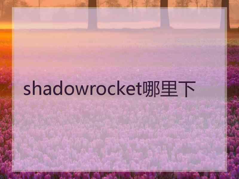 shadowrocket哪里下