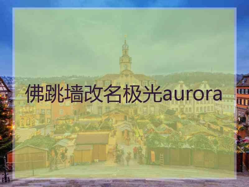 佛跳墙改名极光aurora