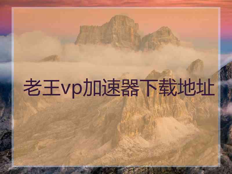 老王vp加速器下载地址