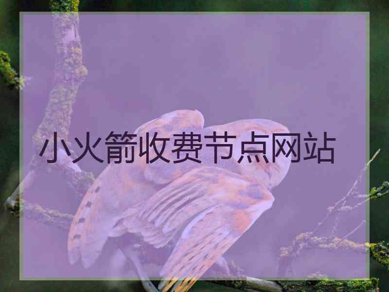 小火箭收费节点网站