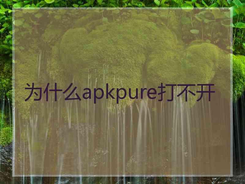 为什么apkpure打不开