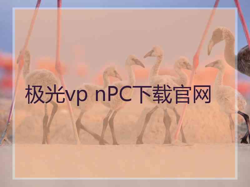 极光vp nPC下载官网