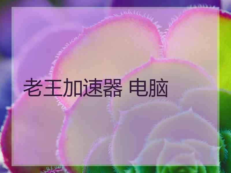 老王加速器 电脑