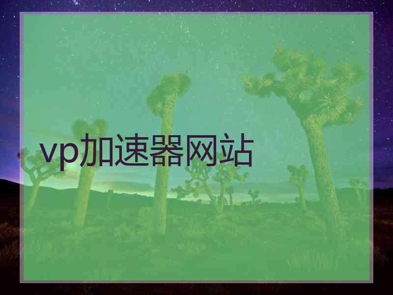 vp加速器网站