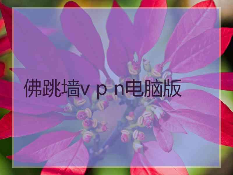 佛跳墙v p n电脑版