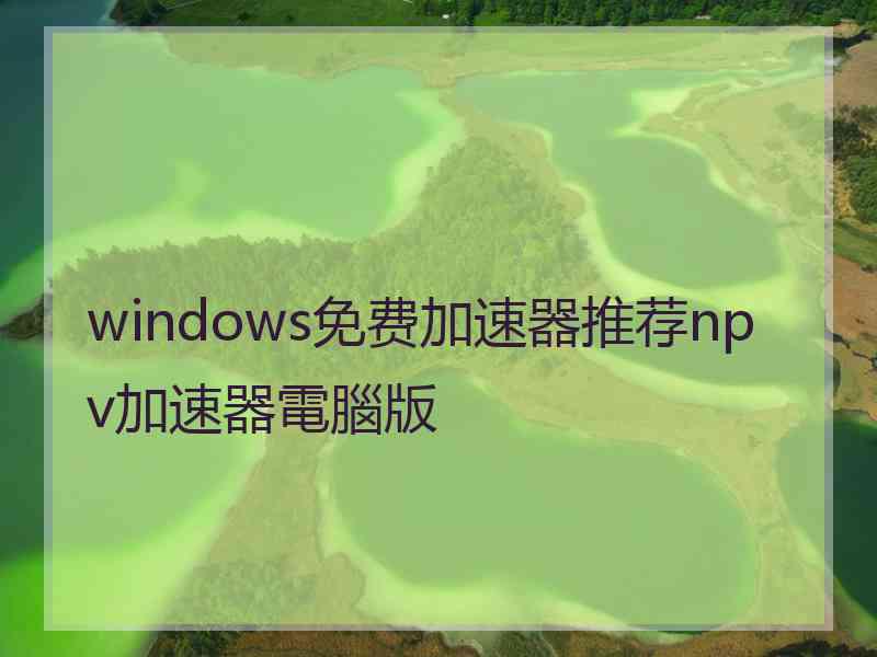 windows免费加速器推荐npv加速器電腦版