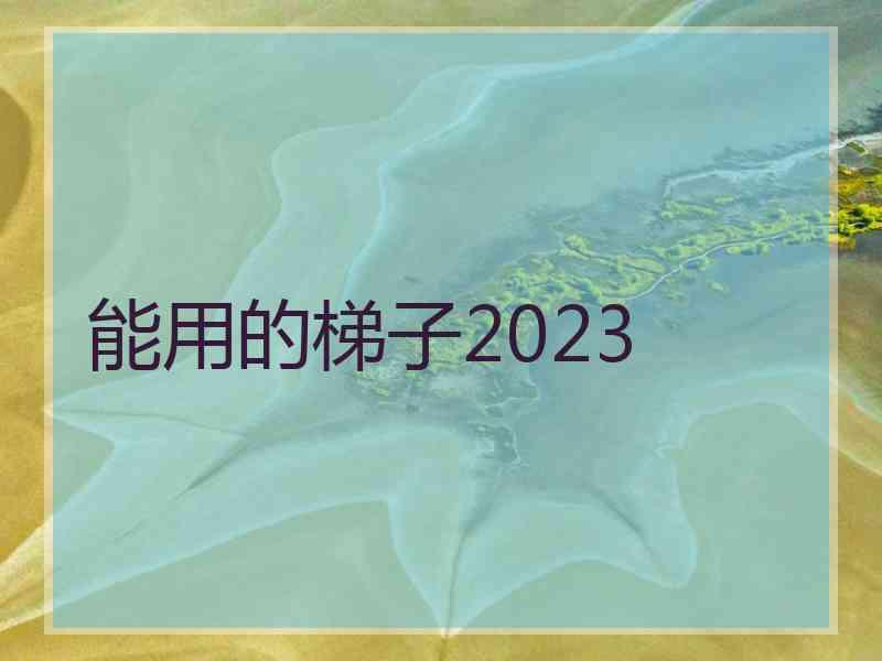 能用的梯子2023