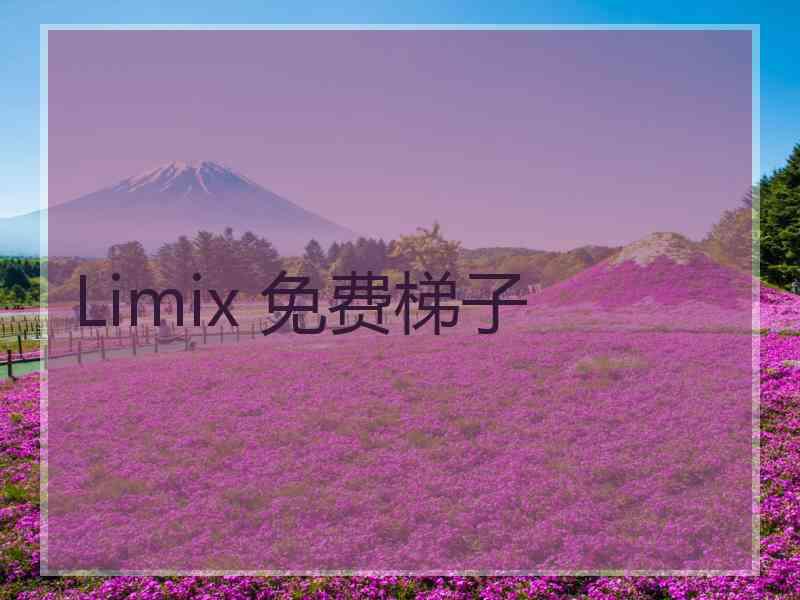 Limix 免费梯子