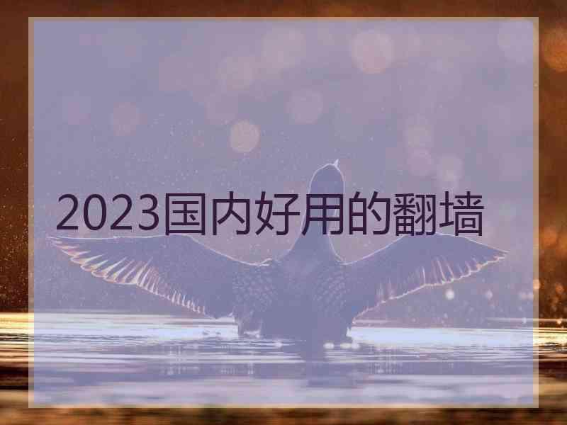 2023国内好用的翻墙