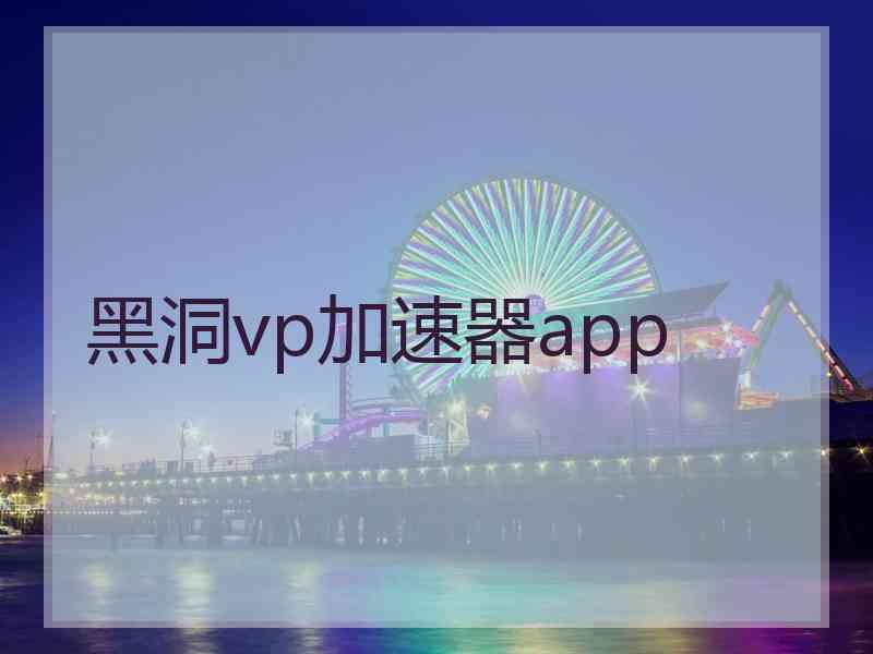 黑洞vp加速器app