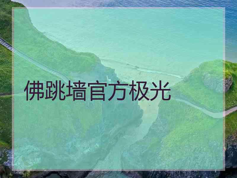 佛跳墙官方极光