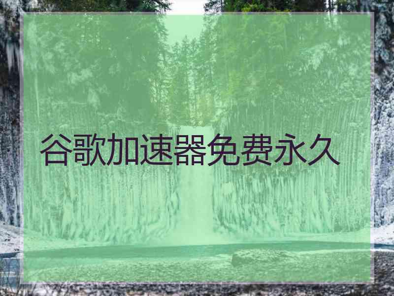 谷歌加速器免费永久