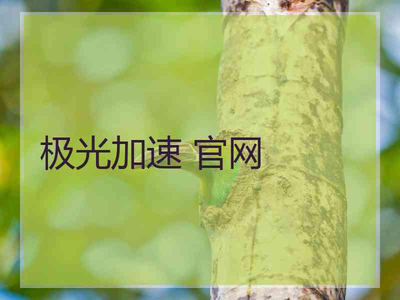 极光加速 官网