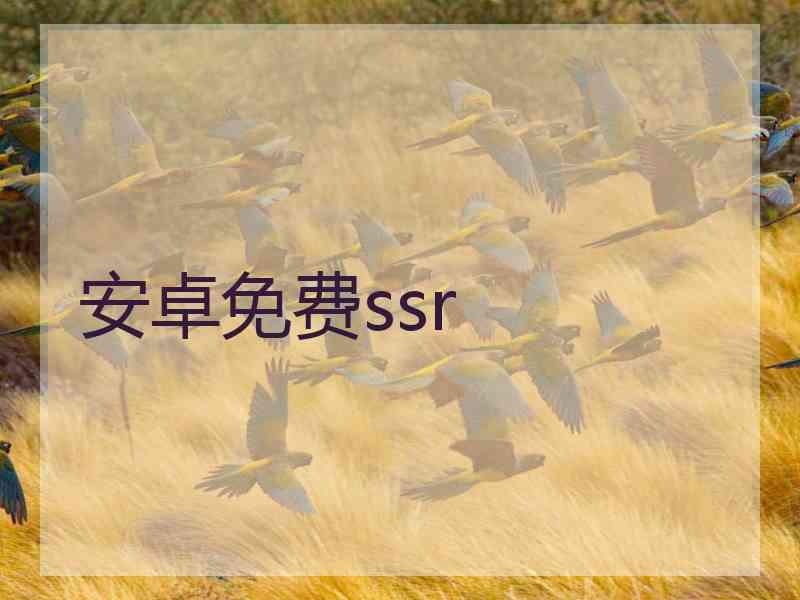 安卓免费ssr