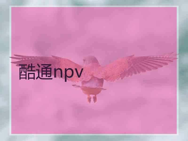 酷通npv